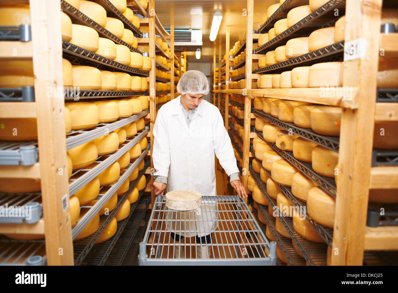 https://c8.alamy.com/comp/DKCJ25/worker-wheeling-cheese-round-for-storage-at-farm-factory-DKCJ25.jpg