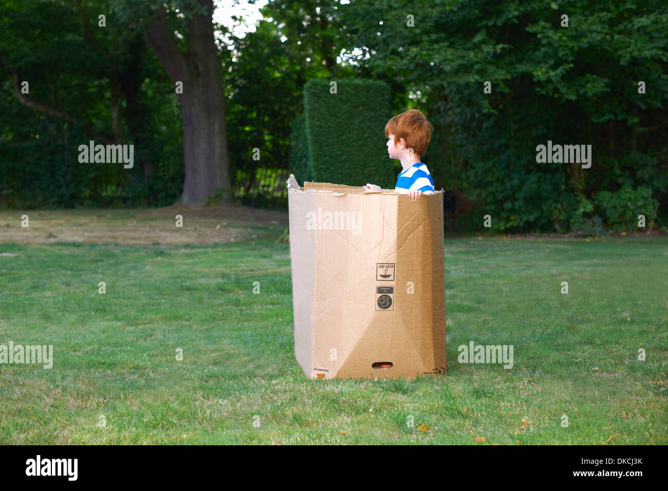 Young boy watching from cardboard box in garden Stock Photo