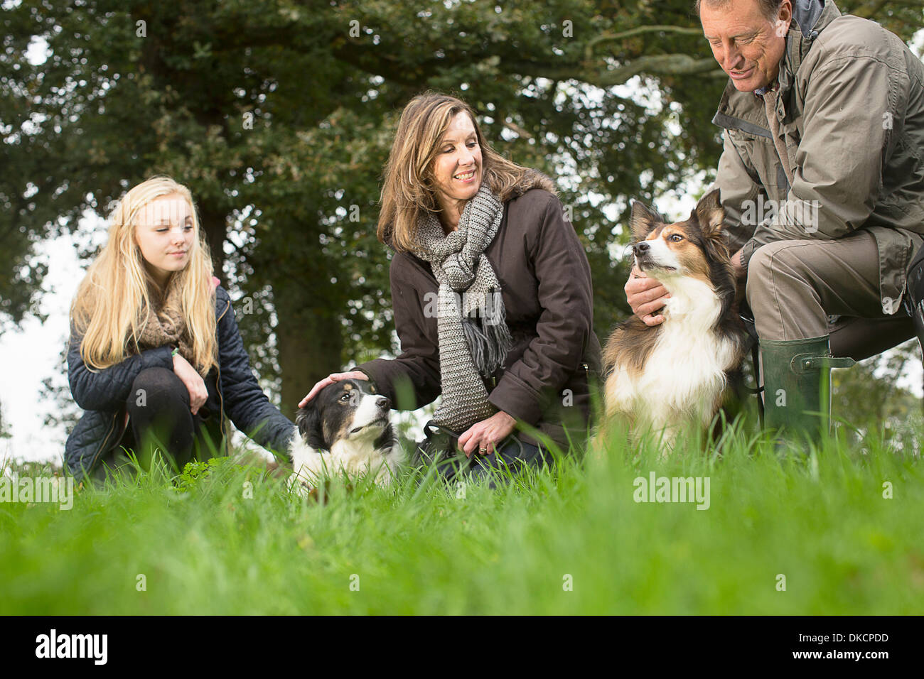 Senior couple and granddaughter out with dogs Stock Photo