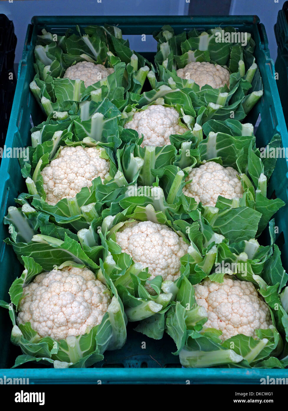 Cauliflowers on sale at a market Stock Photo