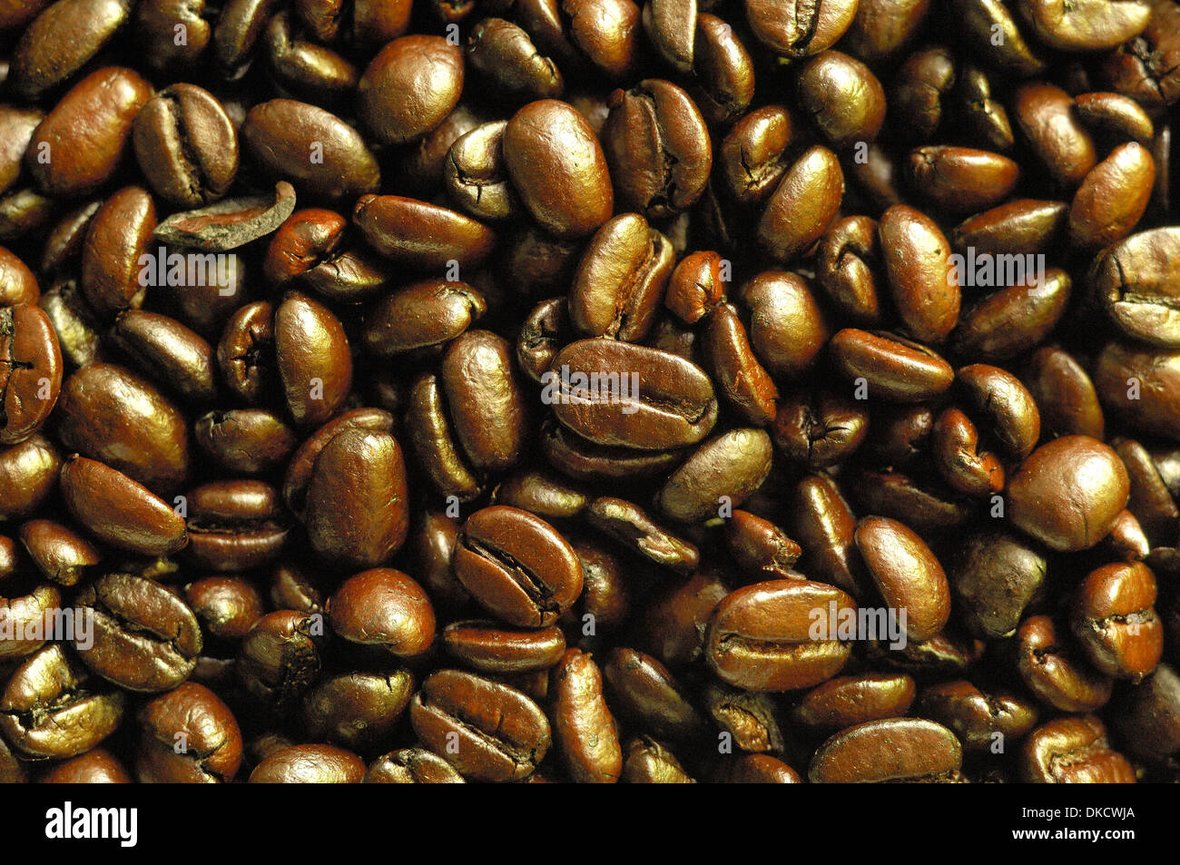 Medium/Dark Beans main image 1