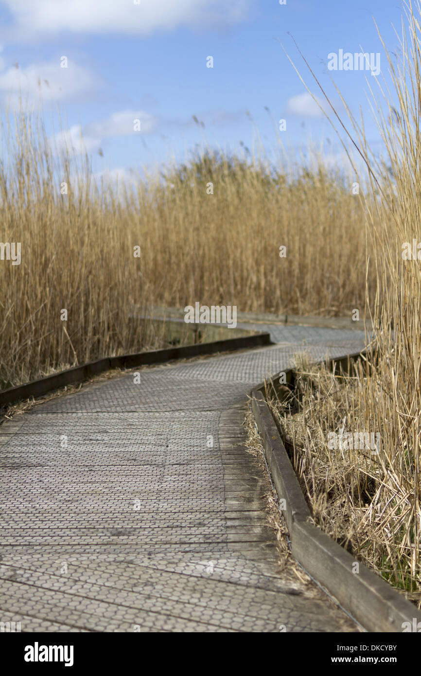 Boardwalk at Cley Marshes Nature Reserve Stock Photo