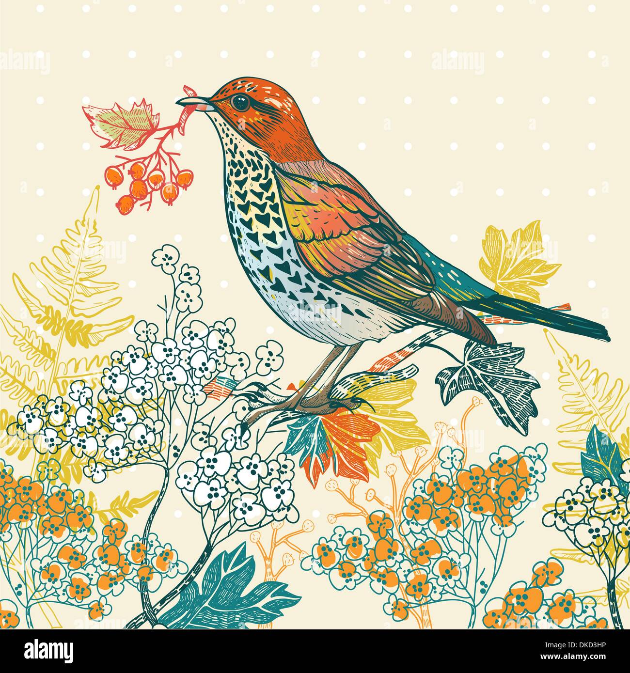 vector illustration of a forest bird and autumn plants Stock Vector ...