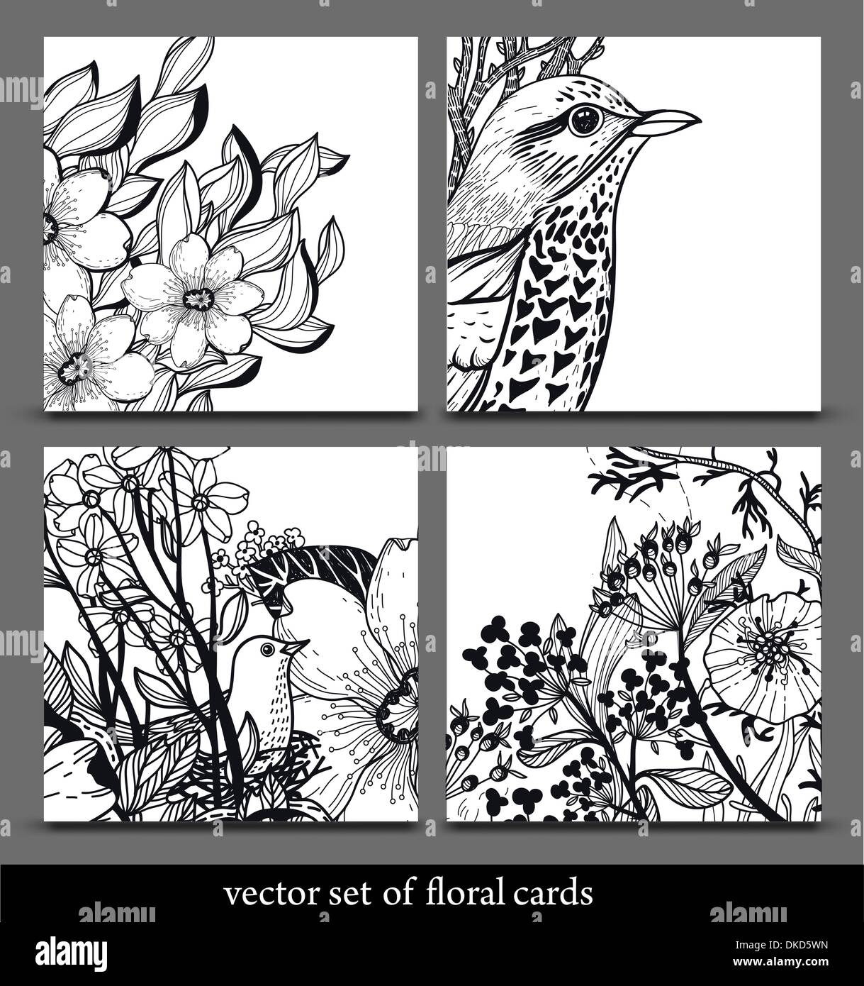 vector set of hand drawn cards with birds and flowers Stock Vector ...