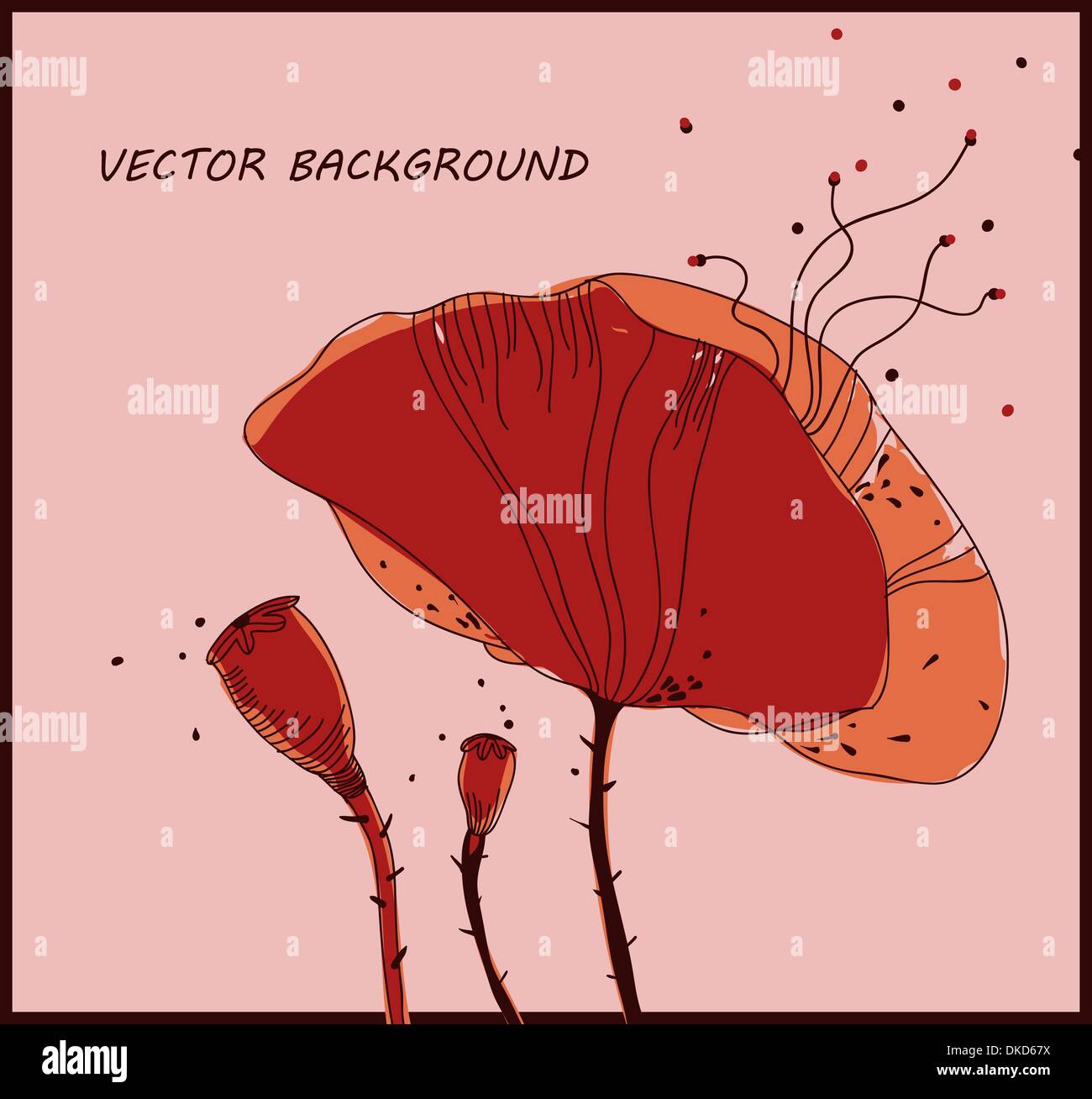 floral background with bright red poppies Stock Vector Image & Art - Alamy