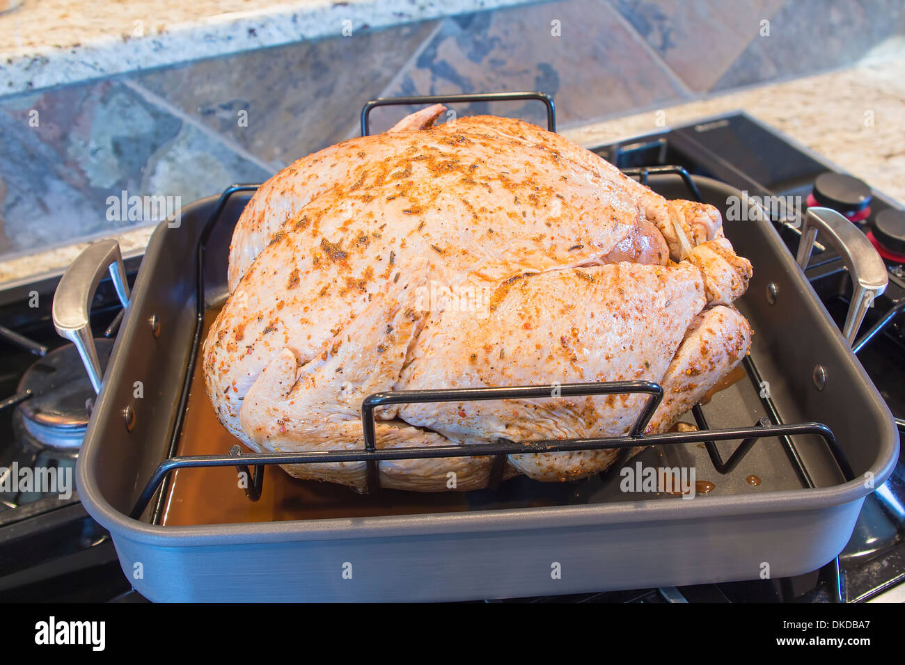 Turkey Uncooked Brined and Seasoned with Spices in Roasting Pan for Thanksgiving Dinner Stock Photo