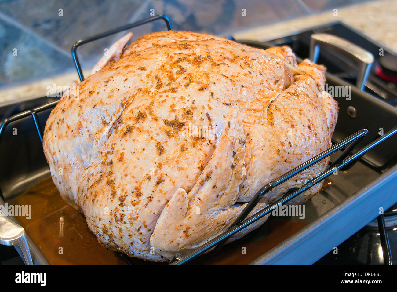 Turkey Uncooked Brined and Seasoned with Spices in Roasting Pan for Thanksgiving Dinner Closeup Stock Photo