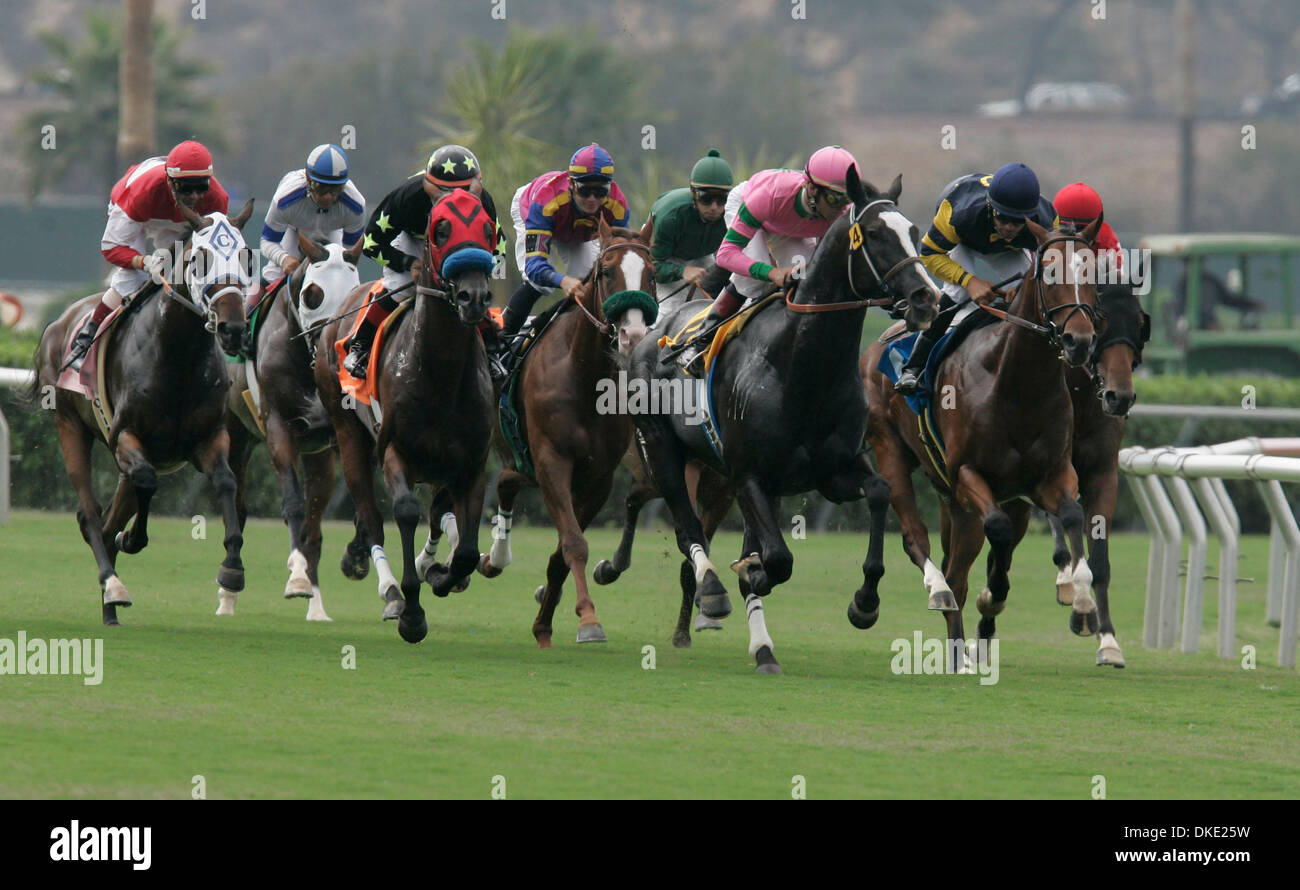 Horses leaving starting gate hi-res stock photography and images - Alamy