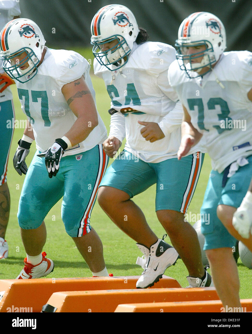 Jul 25, 2007 - Davie, FL, USA - Miami Dolphins linemen, from left, DREW MORMINO, SAMSON SATELE, and DAN STEVENSON, during a drill at Dolphins rookie camp Wednesday in Davie. (Credit Image: © Bill Ingram/Palm Beach Post/ZUMA Press) RESTRICTIONS: USA Tabloid RIGHTS OUT! Stock Photo