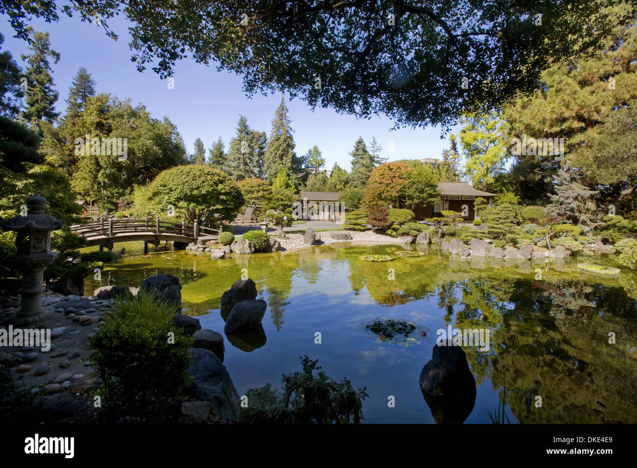 August 15th 2007 San Mateo, CA, USA The Japanese Gardens at Central