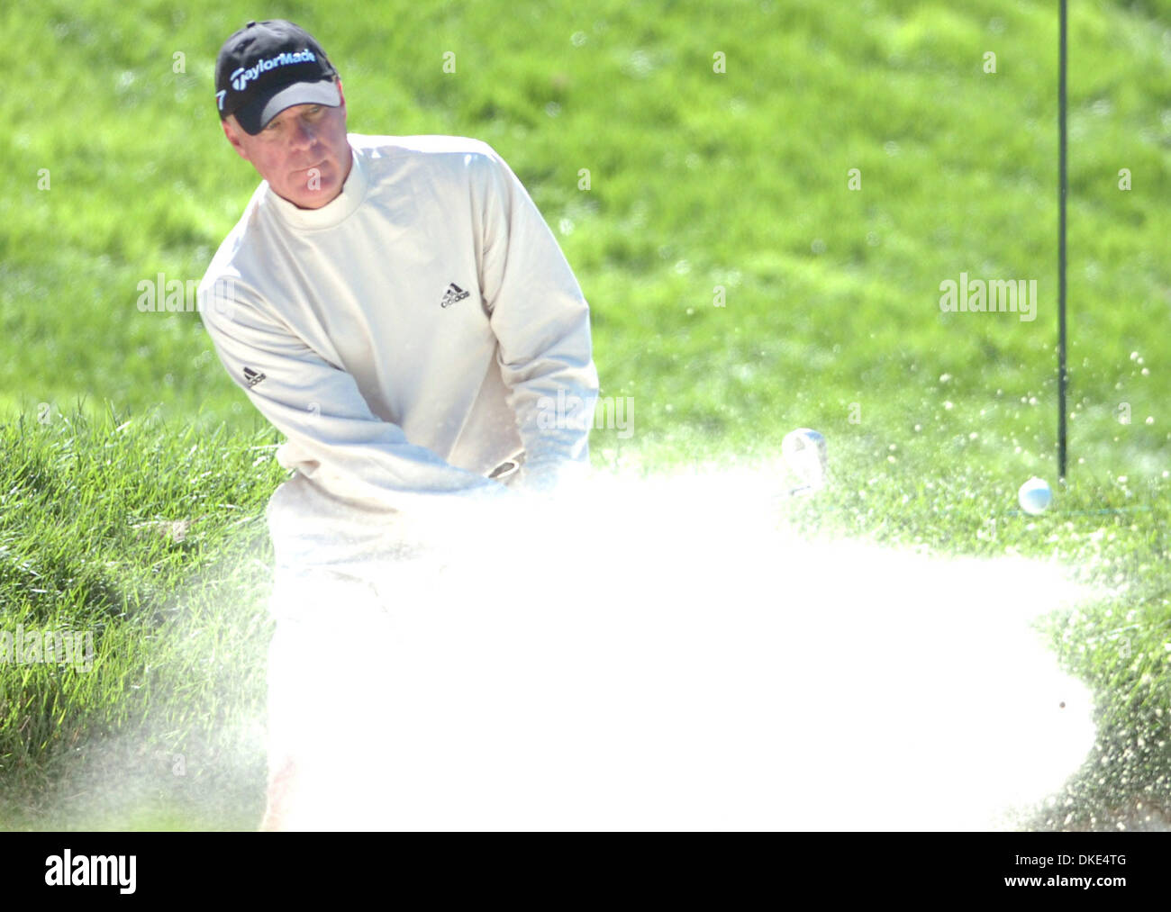 amateur in action 2007