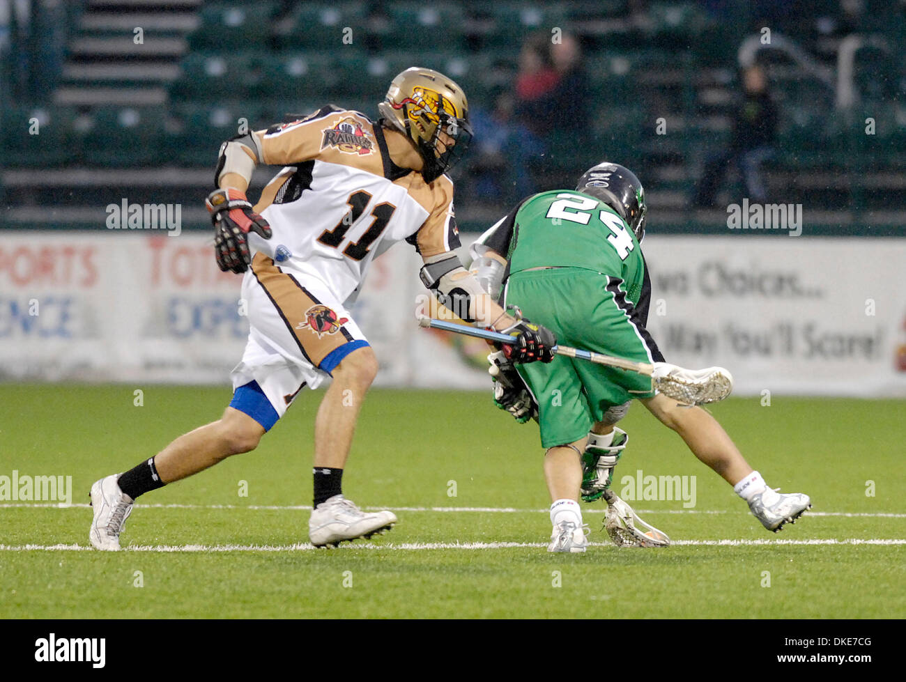 Mll Rochester Rattlers Mascaretti High Resolution Stock Photography and Images - Alamy