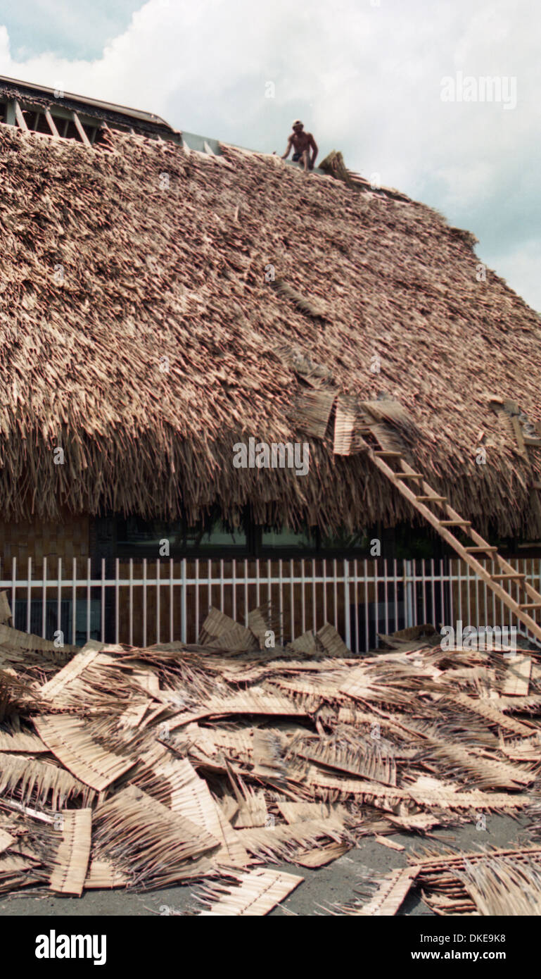 Thatched buildings and wood carvings in Papeete. Tahiti Stock Photo