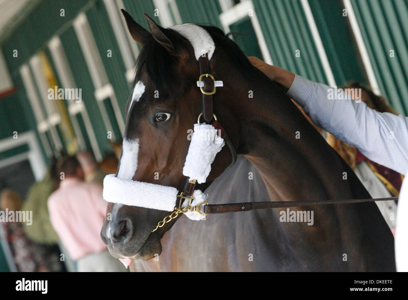 Triple Crown Races Hi res Stock Photography And Images Alamy Triple crown races hi res stock photography and images alamy