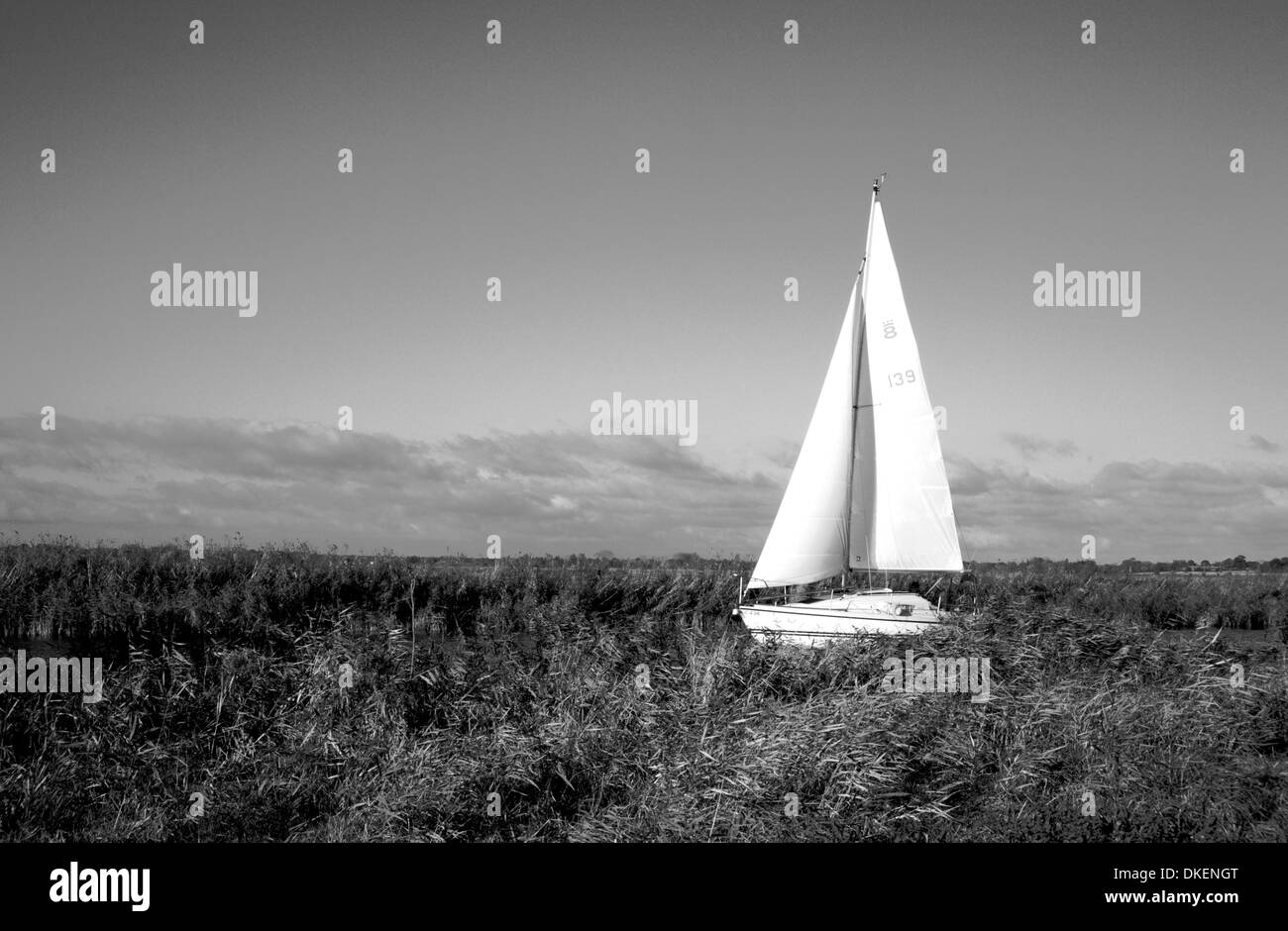 A yacht in sail on the Norfolk Broads at Thurne, Norfolk, England, United Kingdom. Stock Photo