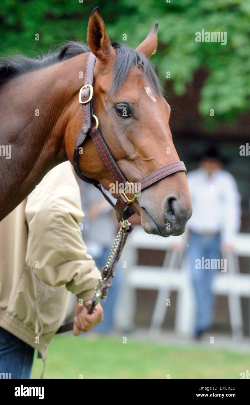 Kentucky derby winner hires stock photography and images Alamy