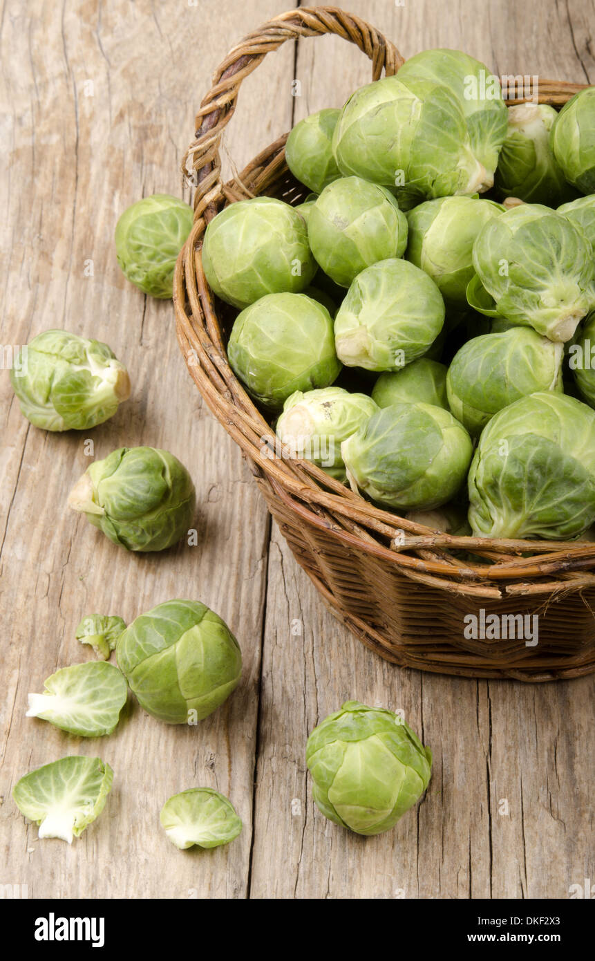 brussels sprouts after harvest in a small basket Stock Photo
