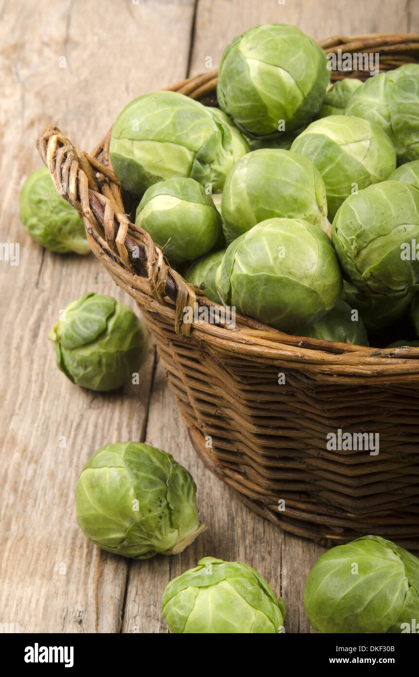 brussels sprouts after harvest in a small basket Stock Photo