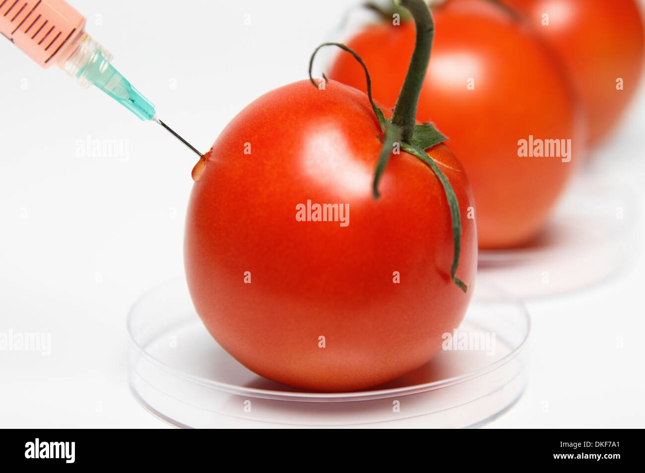 Food research: Syringe injecting red liquid into a tomato Stock Photo