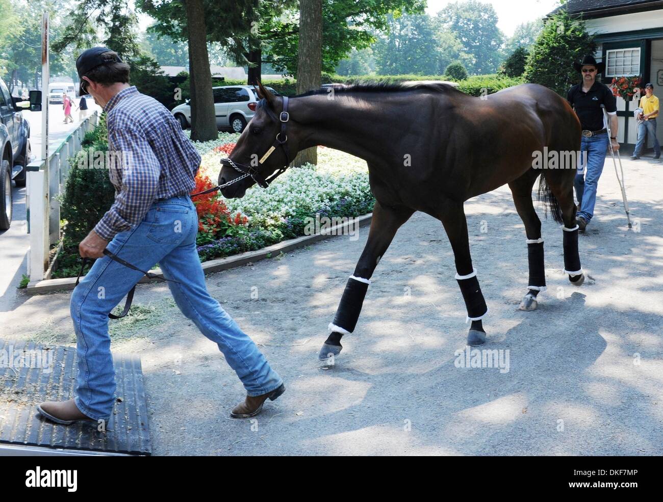 Epiglottis hires stock photography and images Alamy