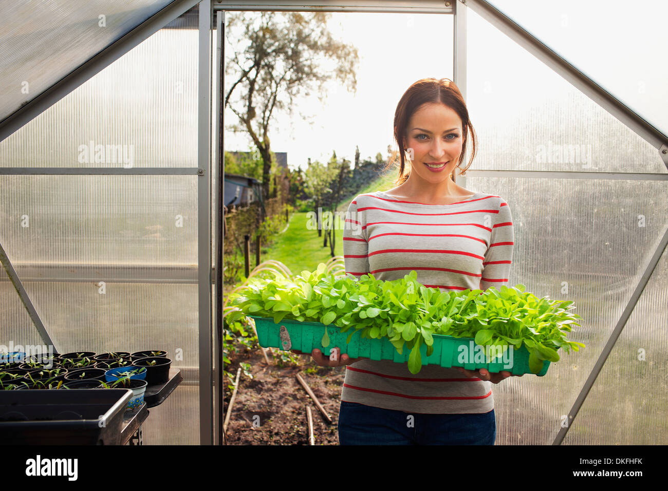 Holding plants hi-res stock photography and images - Alamy