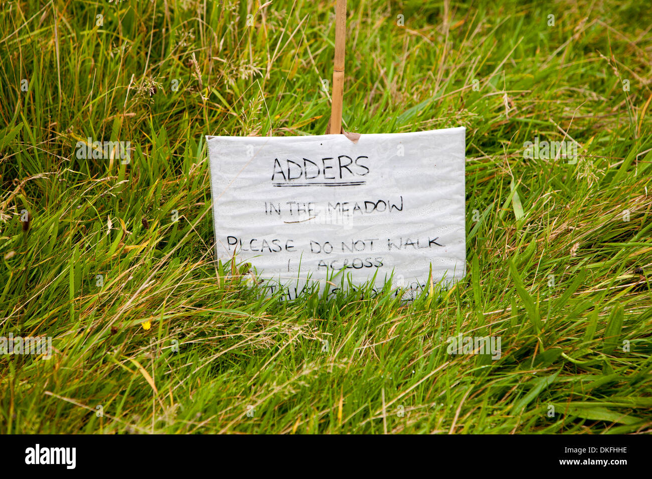 Sign saying adders in the meadow do not walk across Stock Photo