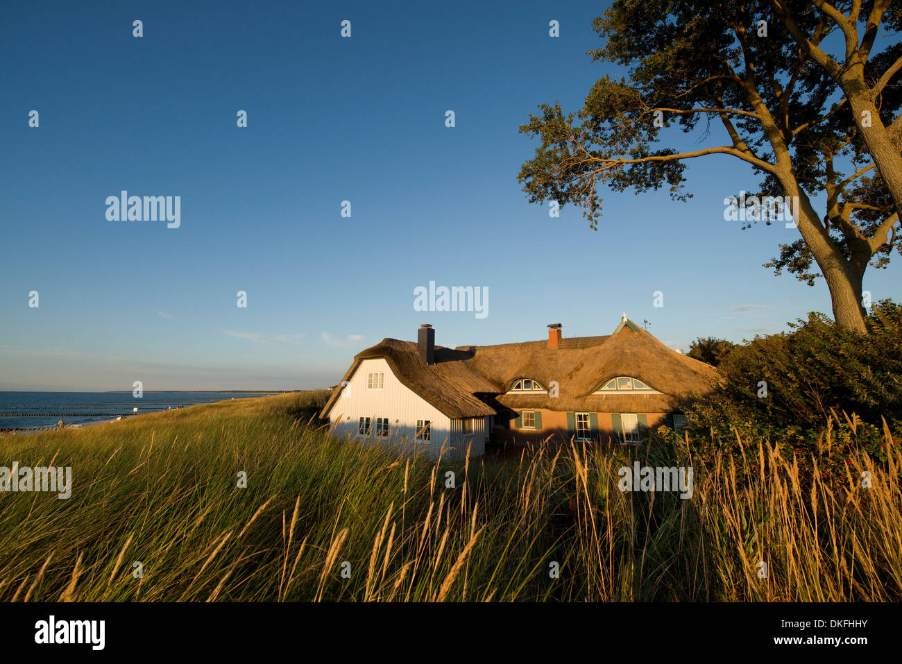 House on the Baltic Sea, Ahrenshoop resort, Mecklenburg-Vorpommern, Germany Stock Photo