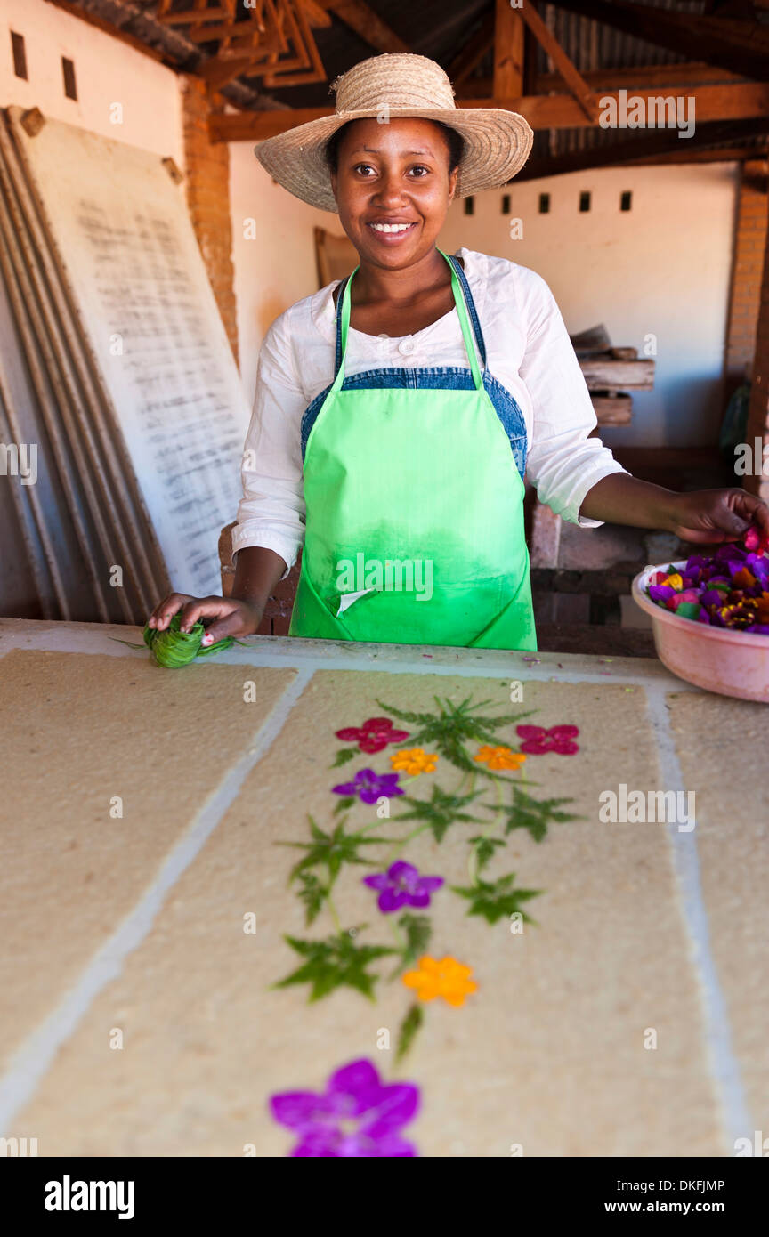 Woman of the Betsileos people producing handmade paper with flowers, Ambalavao, Madagascar Stock Photo