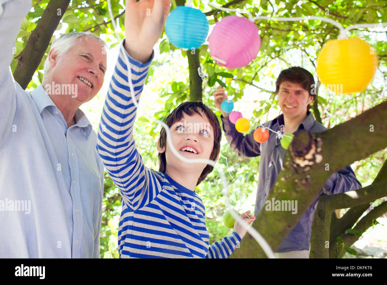 Three generation family putting fairy lights in tree Stock Photo Alamy