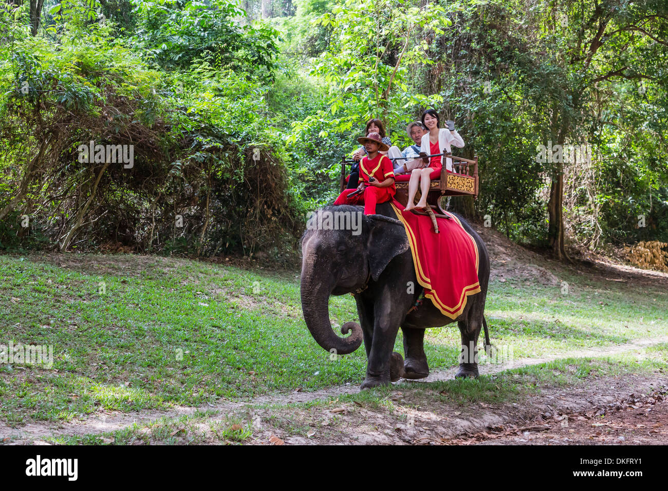 Elephant ride hires stock photography and images Alamy