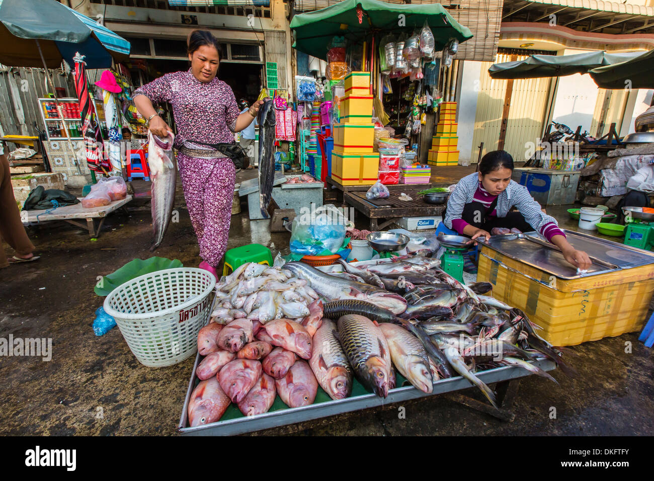 Fresh fish at street market in the capital city of Phnom Penh, Cambodia, Indochina, Southeast Asia, Asia Stock Photo