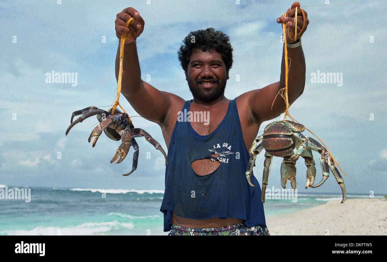 Polynesian whit coconut crab Raroia. Tuamoto Stock Photo 63658369 Alamy