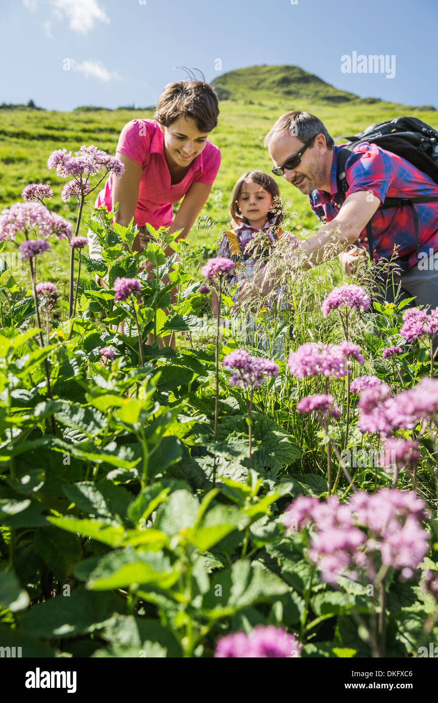 Parents and daughter discovering plants, Tyrol, Austria Stock Photo