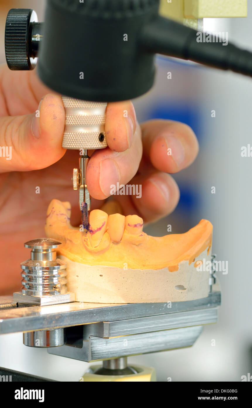 Dental technician measuring dentures in laboratory Stock Photo Alamy