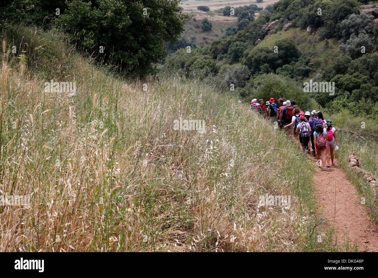 Pilgrims in the Holy Land walking in the Golan Heights, Galilee, Israel, Middle East Stock Photo