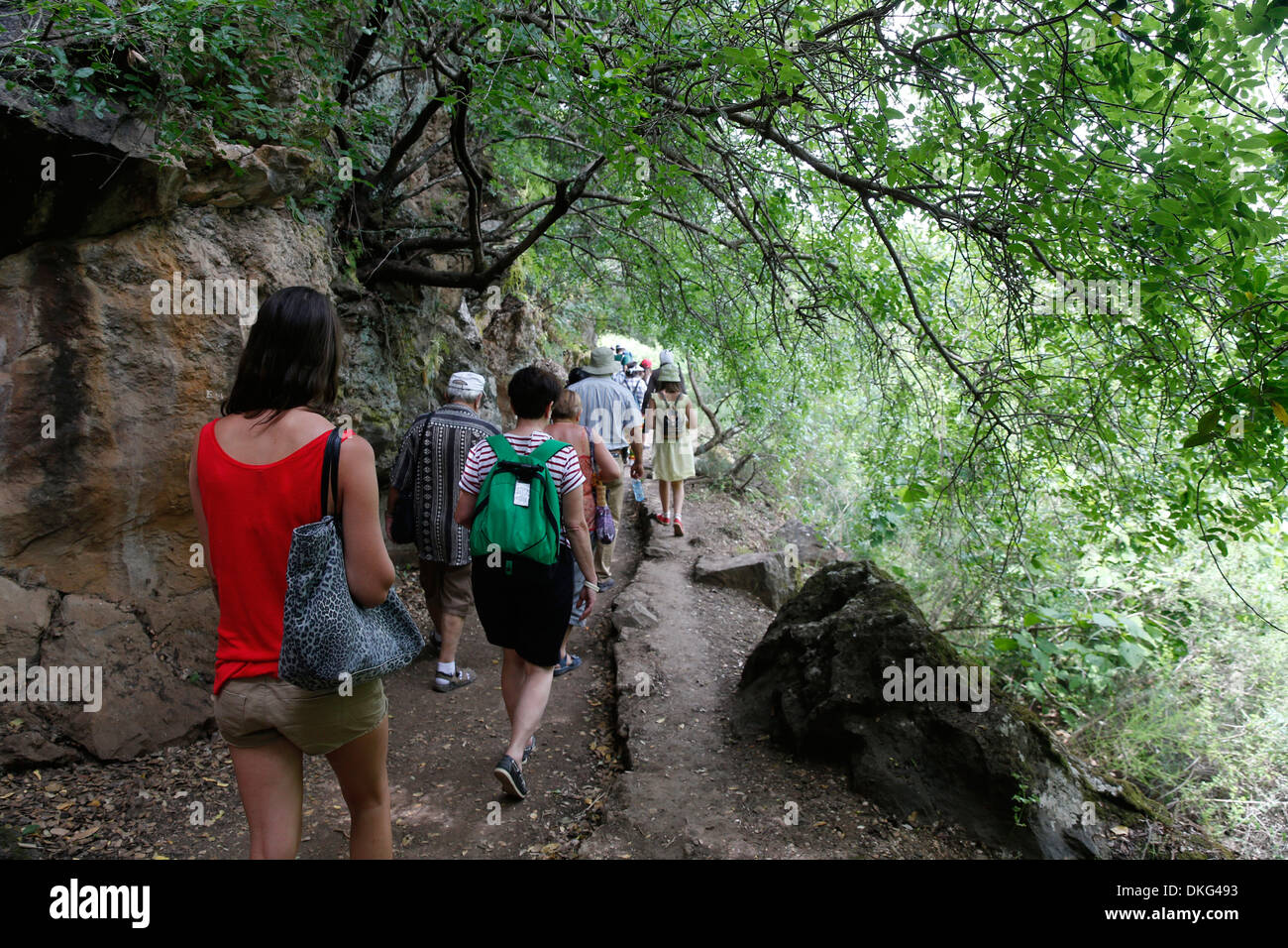 Pilgrims in the Holy Land walking in the Golan Heights, Galilee, Israel, Middle East Stock Photo