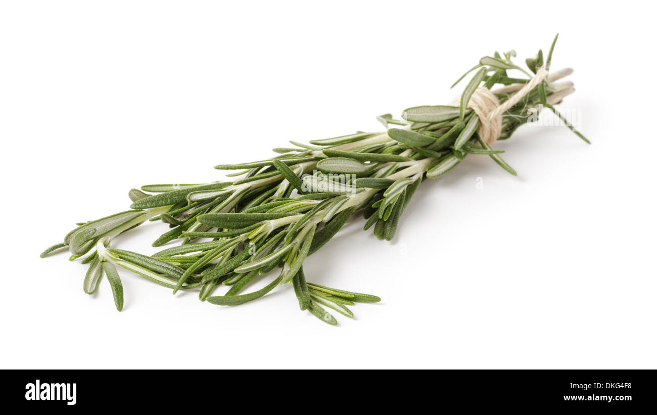 fresh rosemary bunch, isolated on white background Stock Photo - Alamy