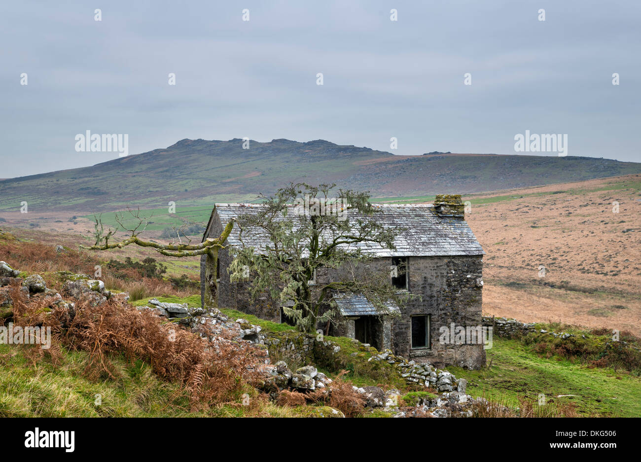 Abandoned farm house on Garrow Tor a remote part of Bodmin Moor in Cornwall, with Brown Willy in the background Stock Photo