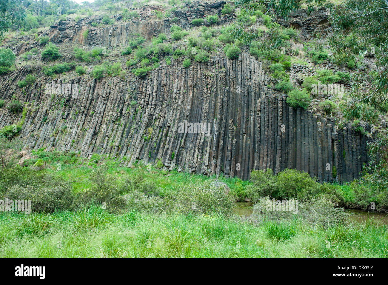 Organ Pipes Victoria Australia Stock Photos Organ Pipes Victoria