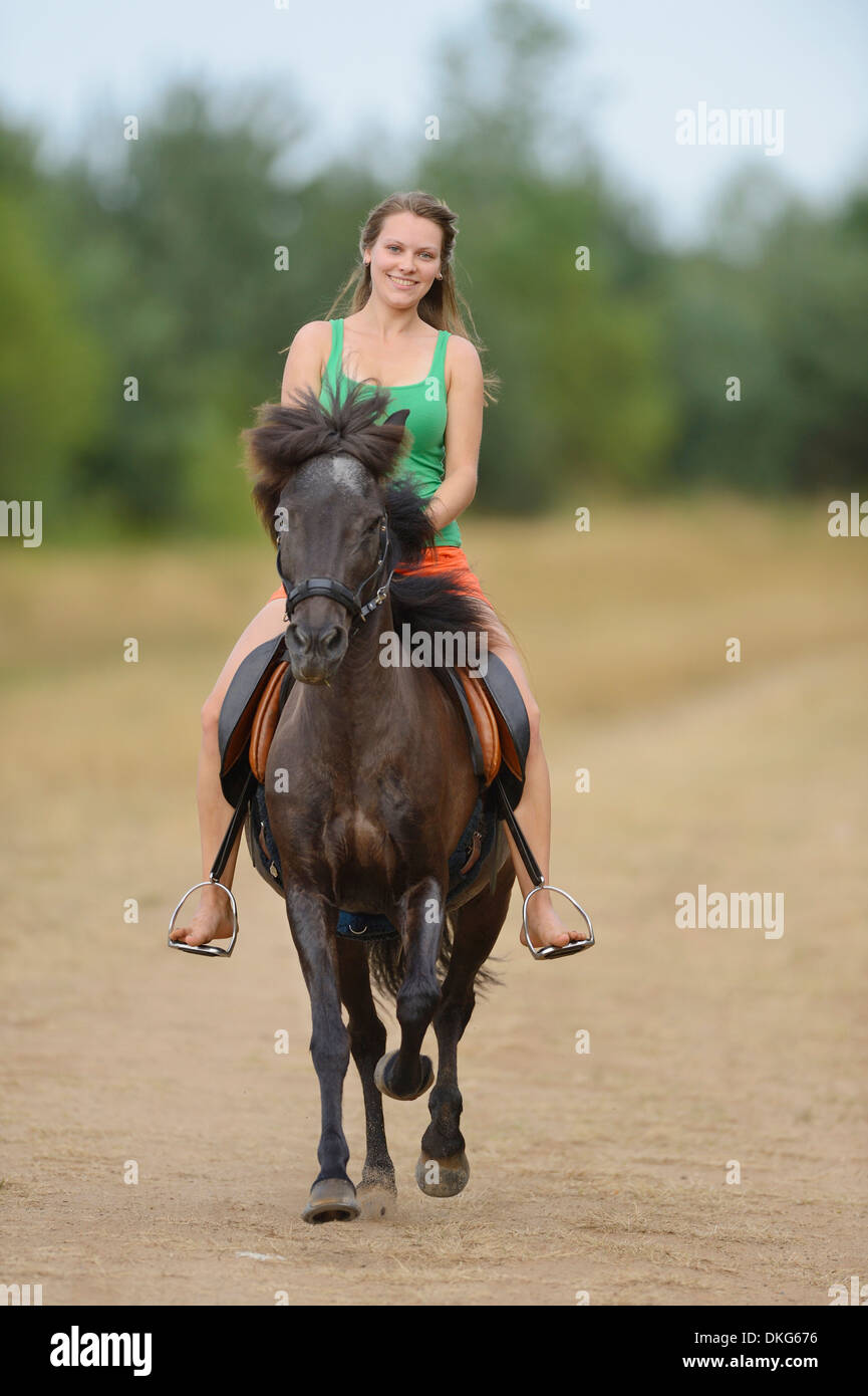 Young woman with an icelandic horse, Franconia, Bavaria, Germany, Europe Stock Photo