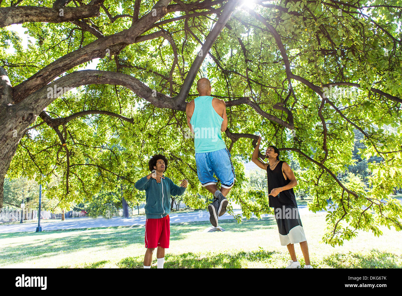 Young man doing chin ups on tree in park with friends Stock Photo