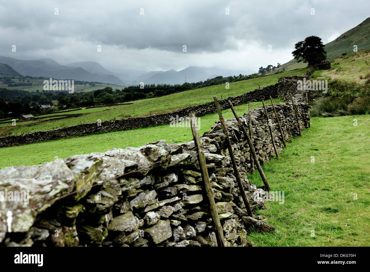 Dry stone wall sweeps into the distance, among farming fields, and
