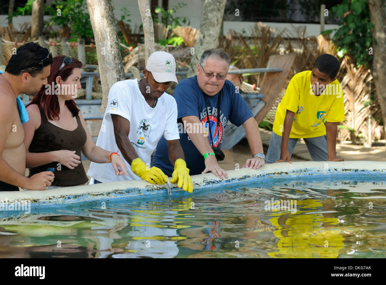 Brazil. Bahia, Praia do Forte. Zookeeper feeding a stingray (Raia Prego) at the Projeto Tamar. Stock Photo