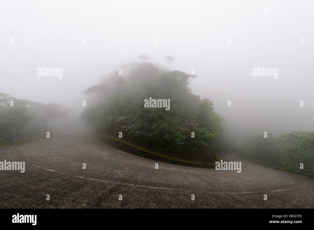 A typical foggy day on the old road Camino do Mar leading from Sao Paulo to Santos. Brazil, Sao Paulo, Santos. Stock Photo