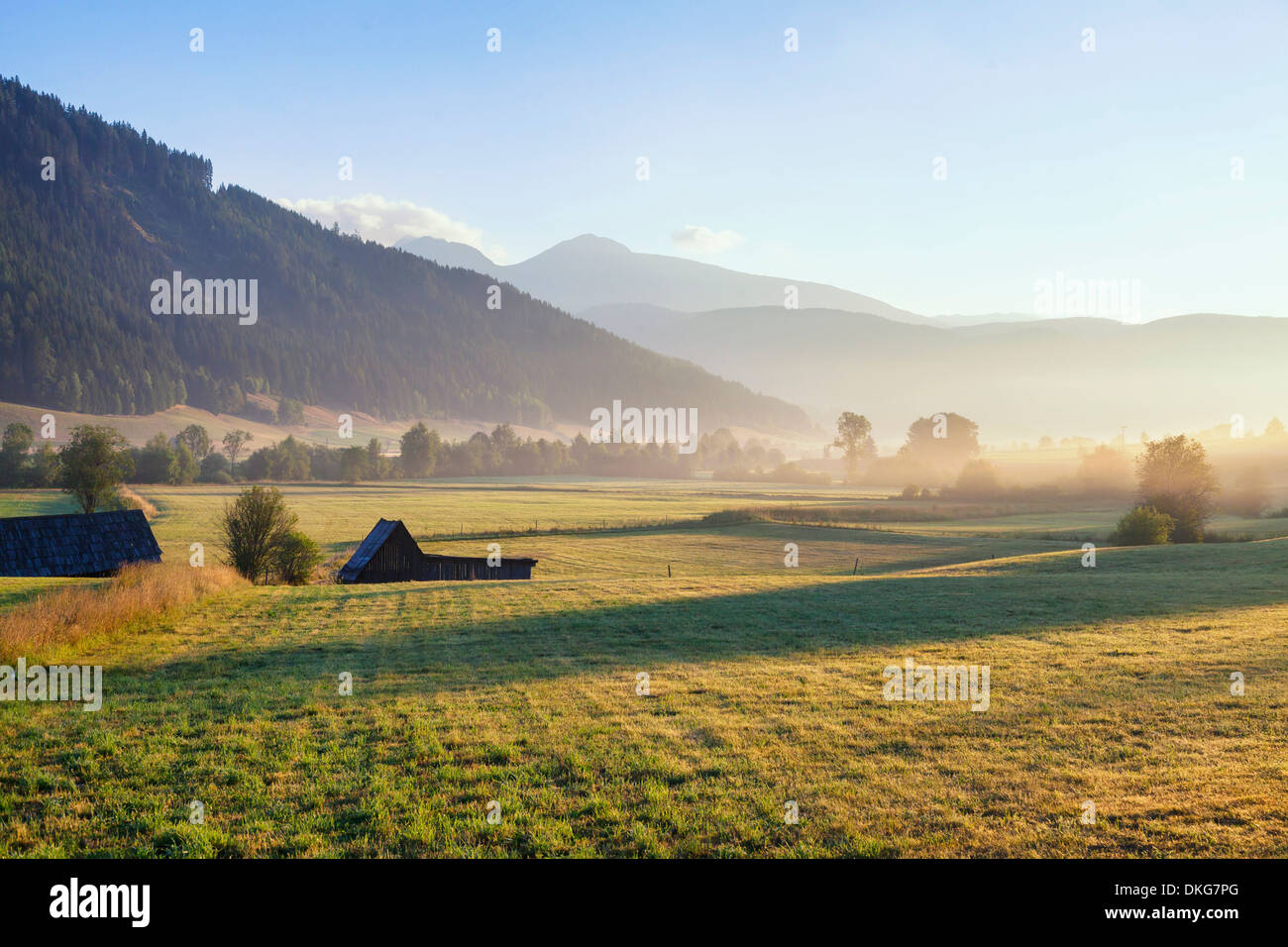 Fields at sunrise, Niedere Tauern, Alps, Salzburger Land, Austria, Europe Stock Photo