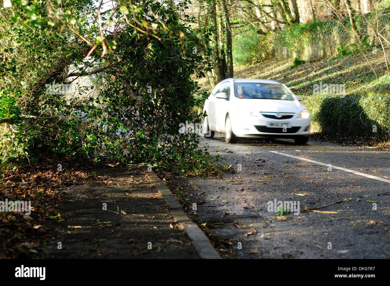 Lea Bridge, Derbyshire,05th December 2013.Fallen trees and branches litter the road surface in the Derbyshire Peak District. Credit:  Ian Francis/Alamy Live News Stock Photo