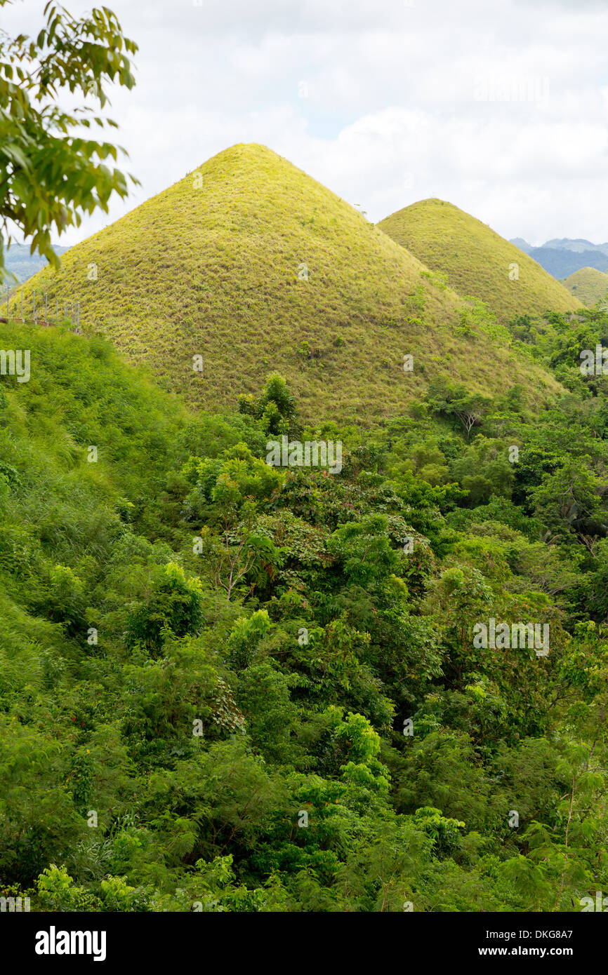 Chocolate Hills, Bohol, Philippines, Asia Stock Photo Alamy