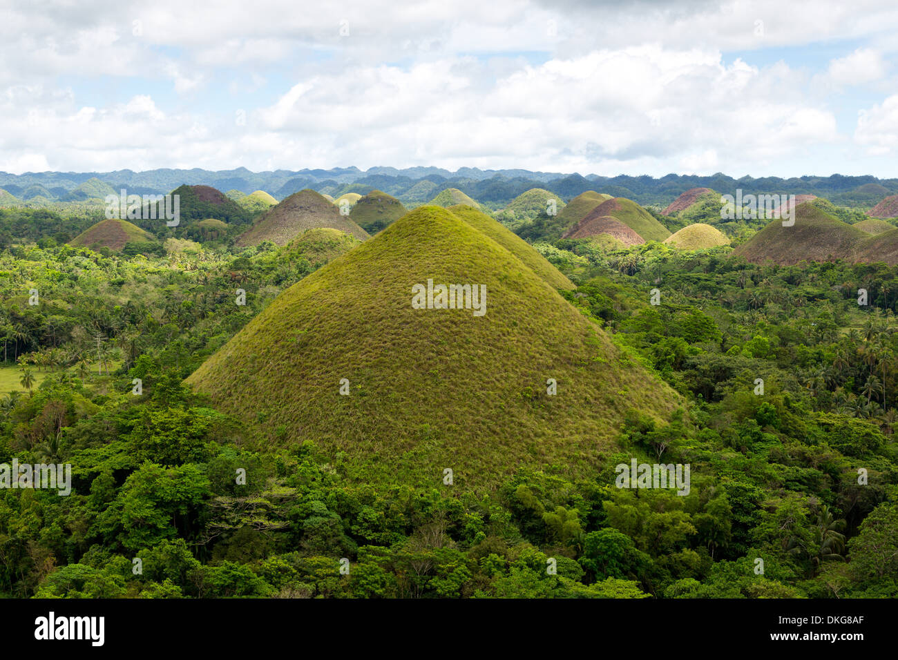 Chocolate Hills, Bohol, Philippines, Asia Stock Photo Alamy