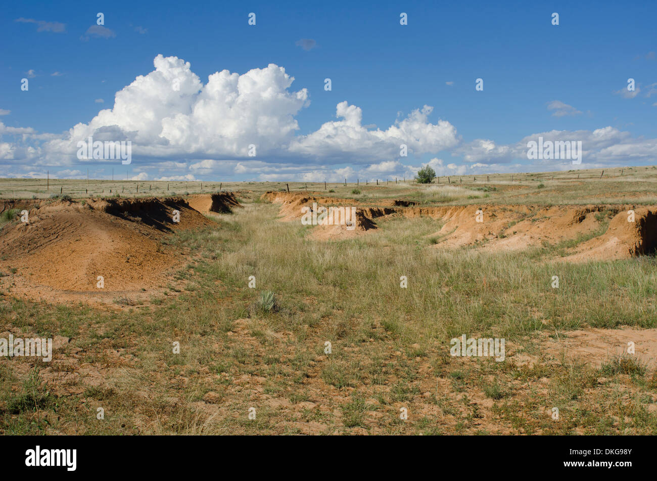 An historic piece of land in Northeastern New Mexico is the site of many old wagon wheel ruts from the Santa Fe Trail. Stock Photo