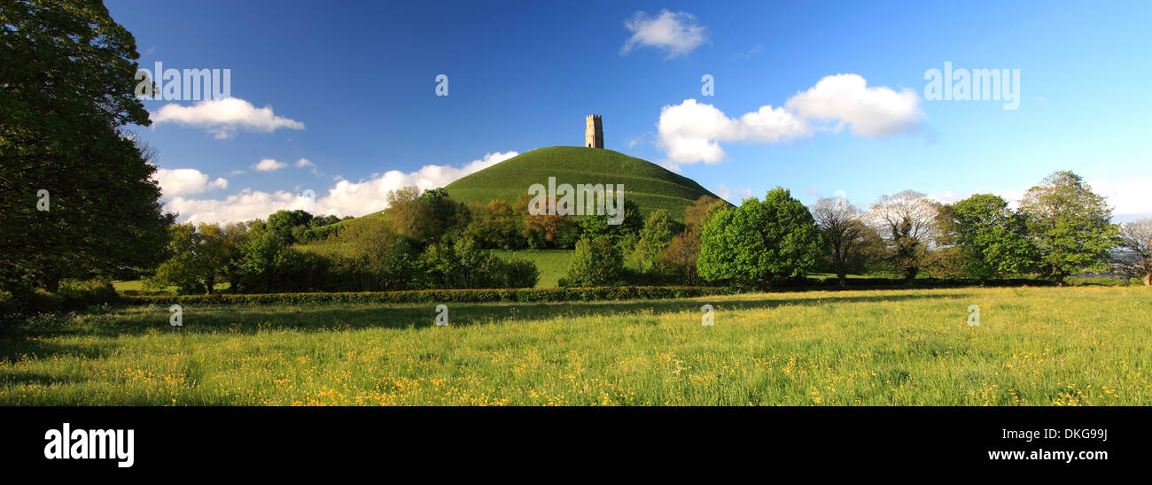 Summer, Glastonbury Tor, St Michael's Tower, Somerset Levels, Somerset County, England, UK Stock Photo